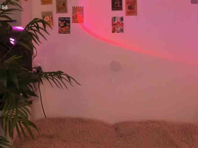 virtual_lady webcam