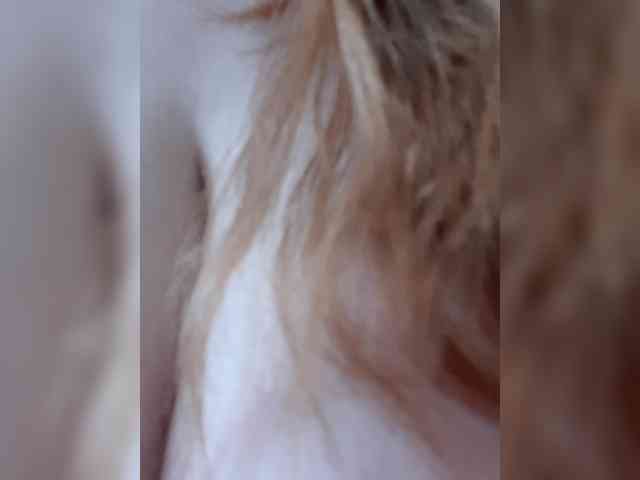 kittywithbig webcam