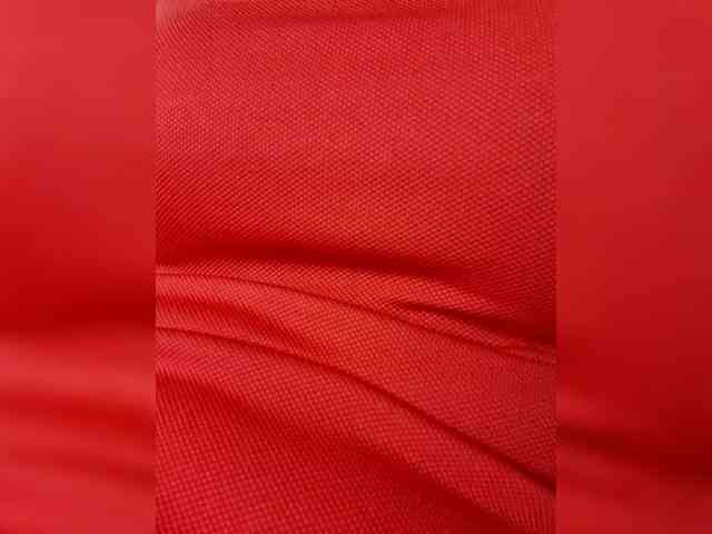 little_pussy webcam
