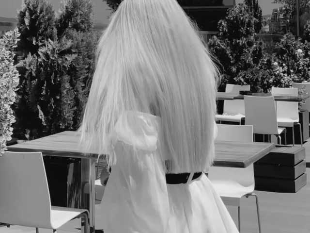 meow Live Cam and Statistics on UnifiedCams