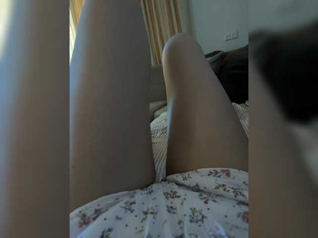 meow online