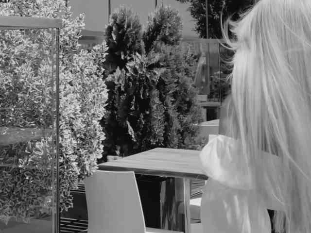 meow