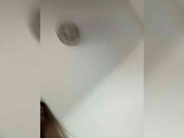 Lynx webcam