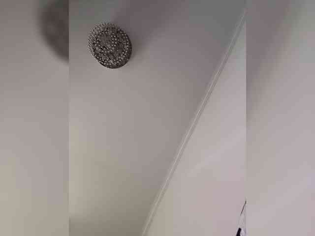 Lynx webcam