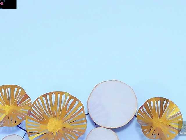 DaliyaArabian live cam and statistics on UnifiedCams