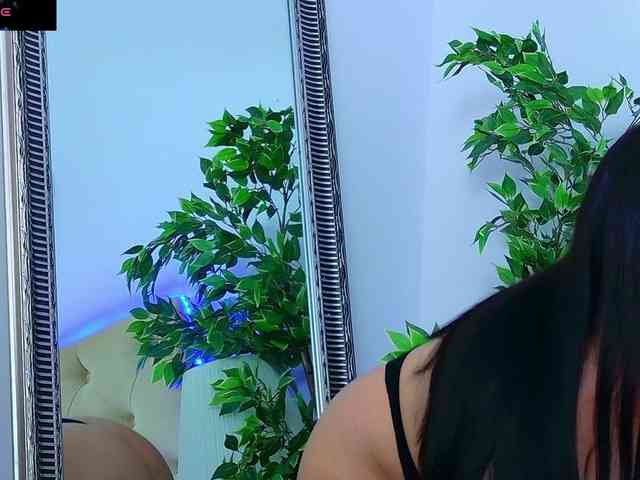 DaliyaArabian webcam