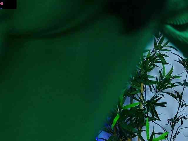 DaliyaArabian webcam