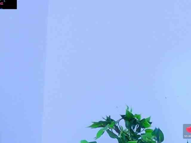 DaliyaArabian webcam