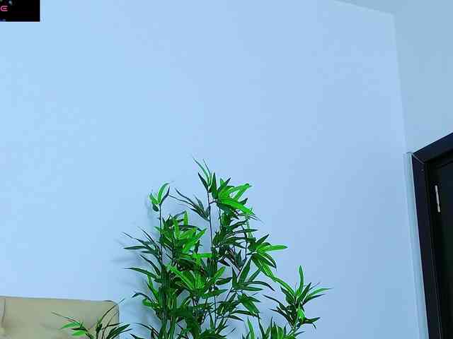 Modelo: DaliyaArabian