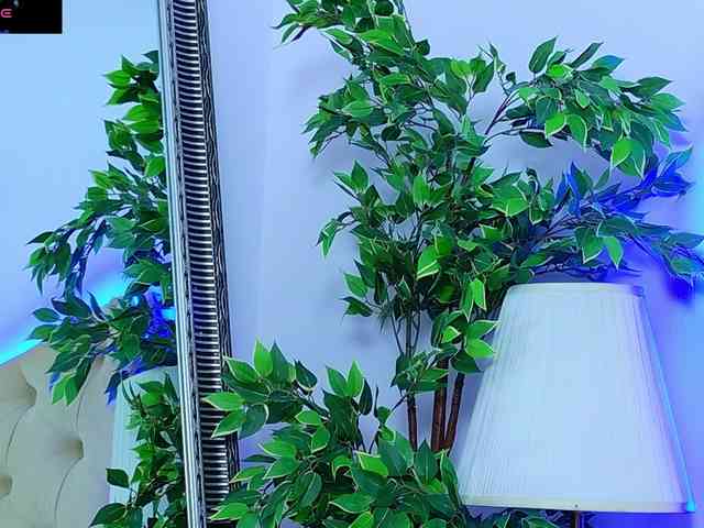 DaliyaArabian webcam