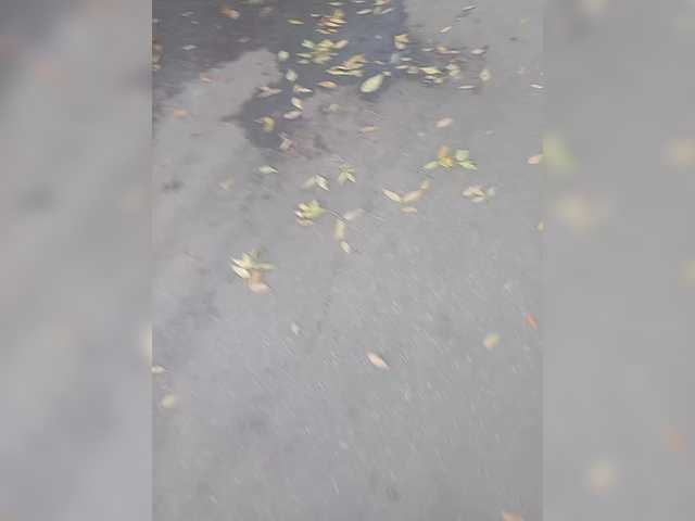 smotricomnn