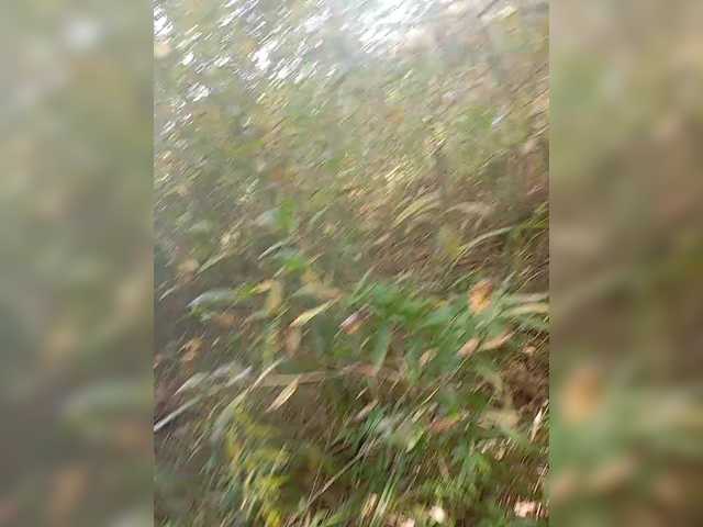 smotricomnn