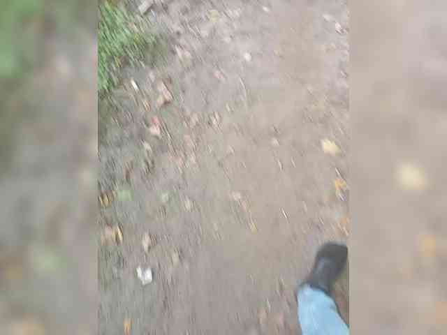 smotricomnn