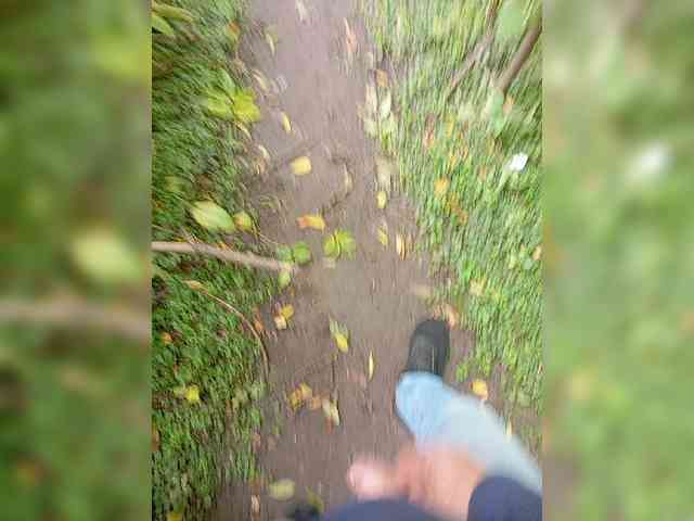 smotricomnn