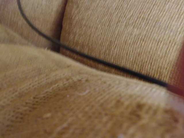 WifeyNusha live cam on BongaCams