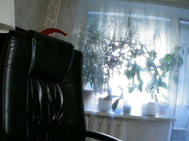 Daniella854 live cam on BongaCams