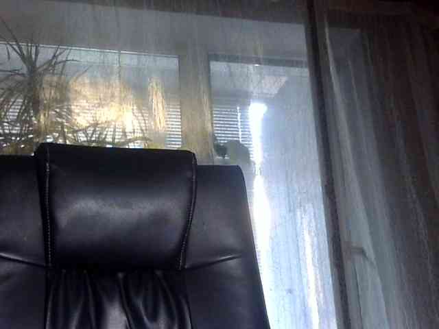 daniella854's live room