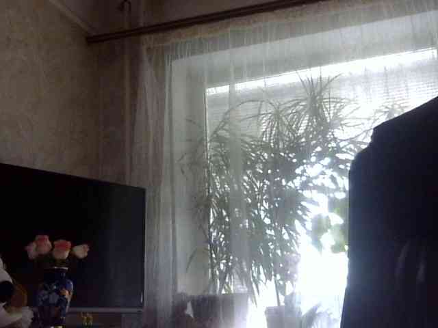 Daniella854 webcam