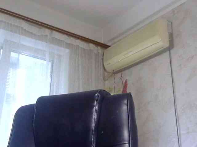 Daniella854 webcam