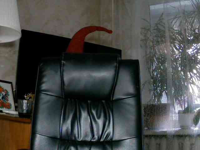 Daniella854 webcam