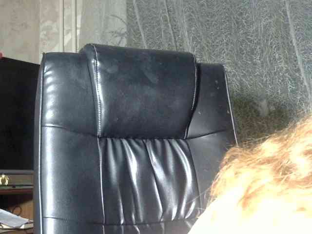 Daniella854 webcam