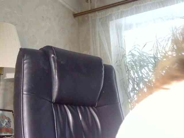 Daniella854 webcam