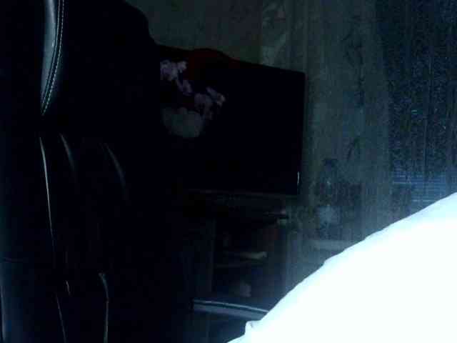 Daniella854 webcam