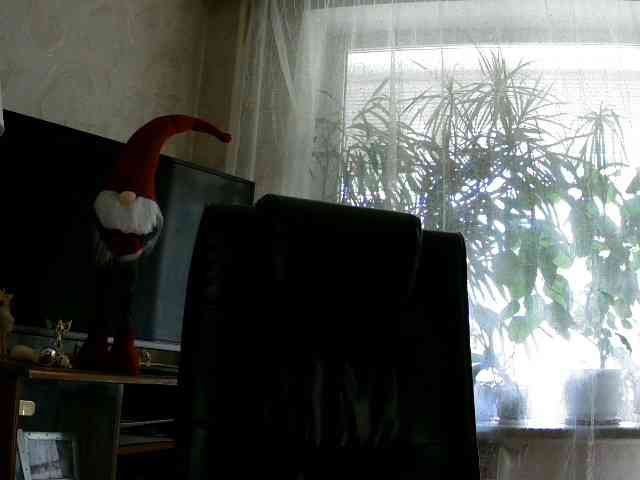 Daniella854 webcam
