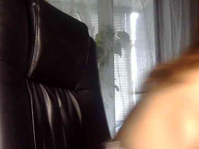 Daniella854 webcam