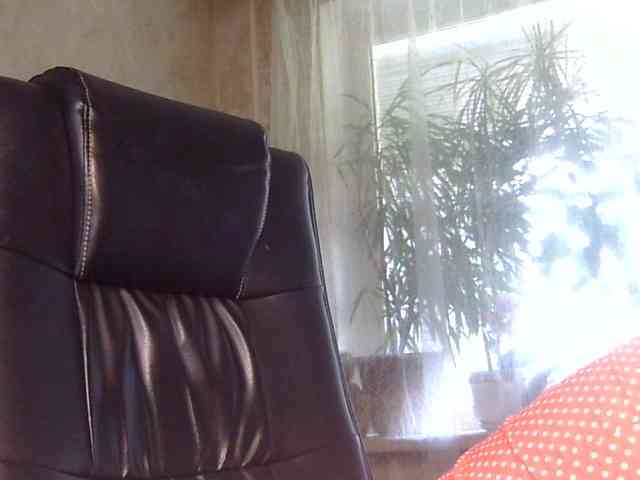 Daniella854 webcam