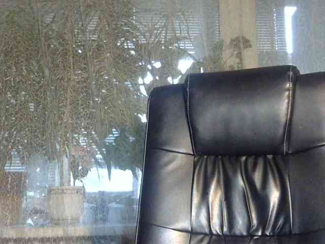 Daniella854 webcam