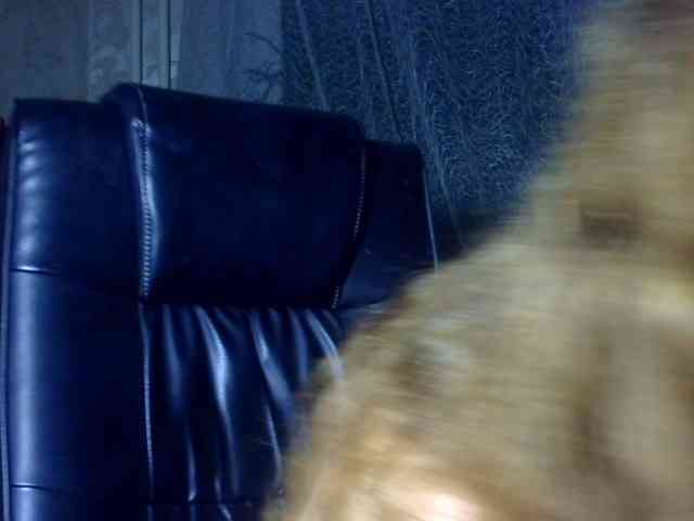 Daniella854 webcam