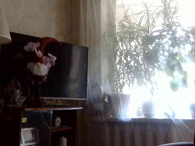 Daniella854 webcam