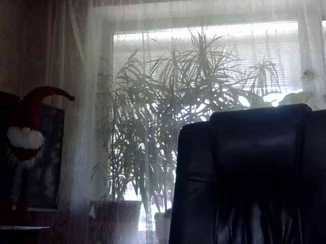 Daniella854 webcam