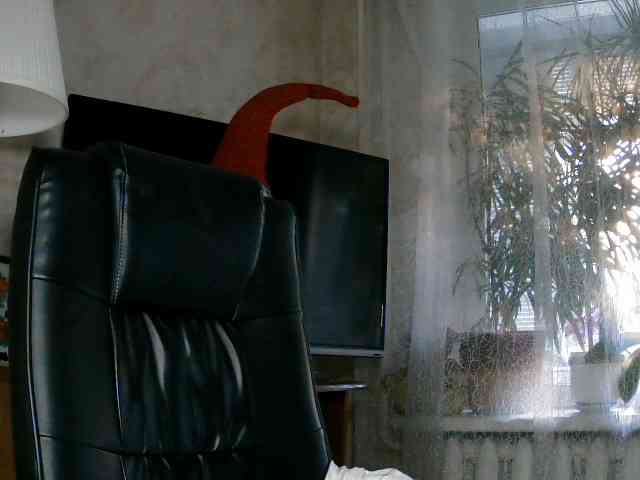 Daniella854 webcam