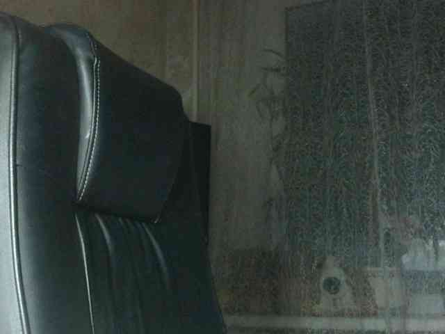 Daniella854 webcam