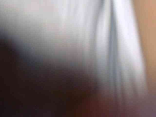 Daniella854 webcam