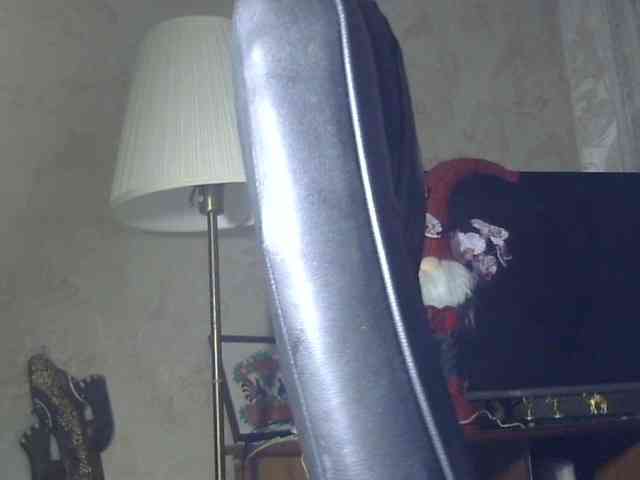 Daniella854 webcam