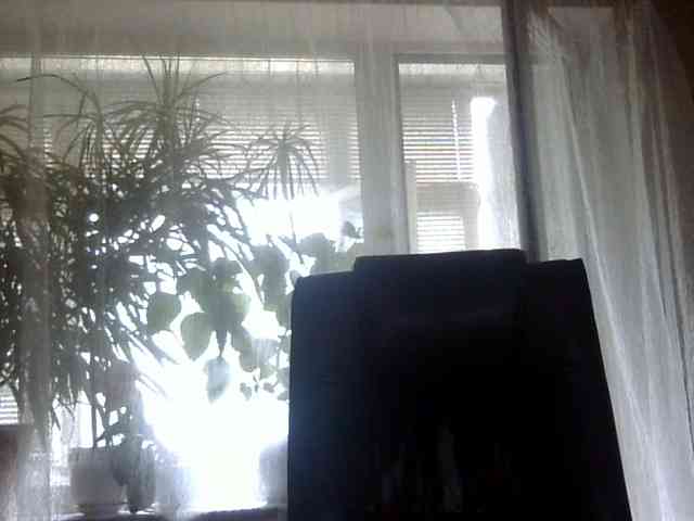 Daniella854 webcam