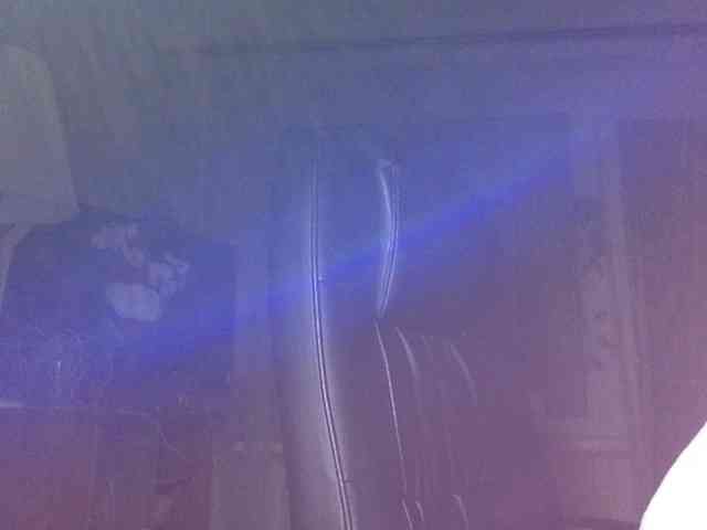 Daniella854 webcam