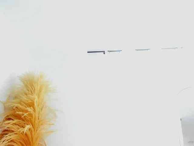 greicyass