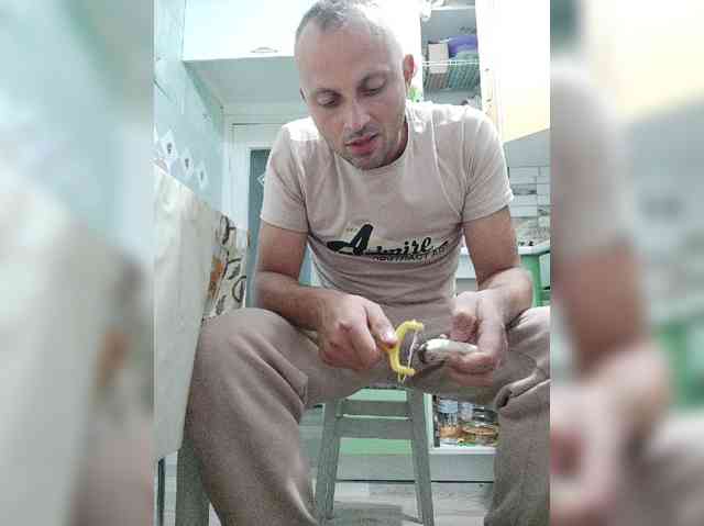 Hattab27