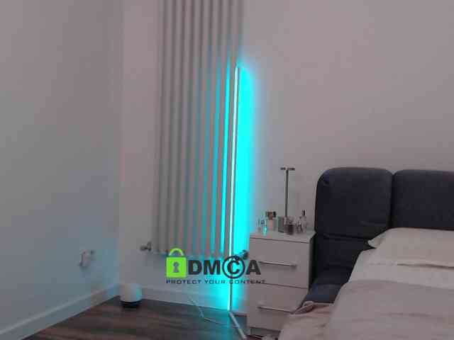 MaxineDi webcam