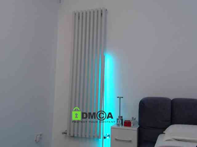 MaxineDi webcam