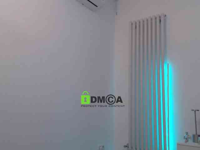MaxineDi webcam