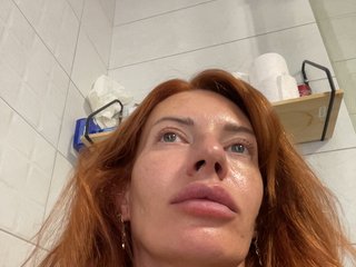 -wowfox-