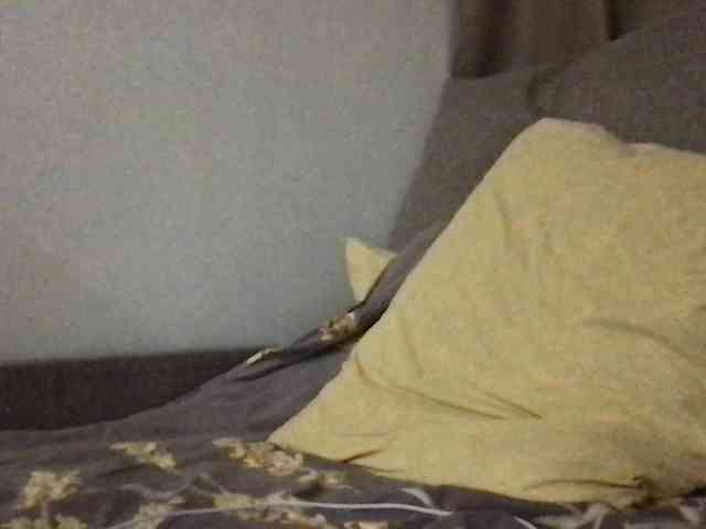 Model: MilaBi-192569