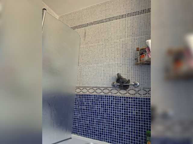 cristalboom