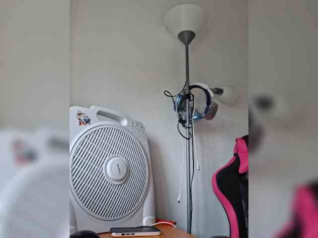 cristalboom webcam