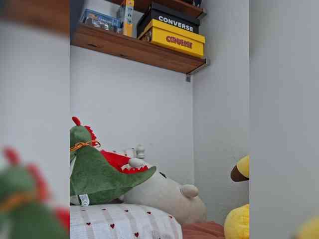 cristalboom webcam